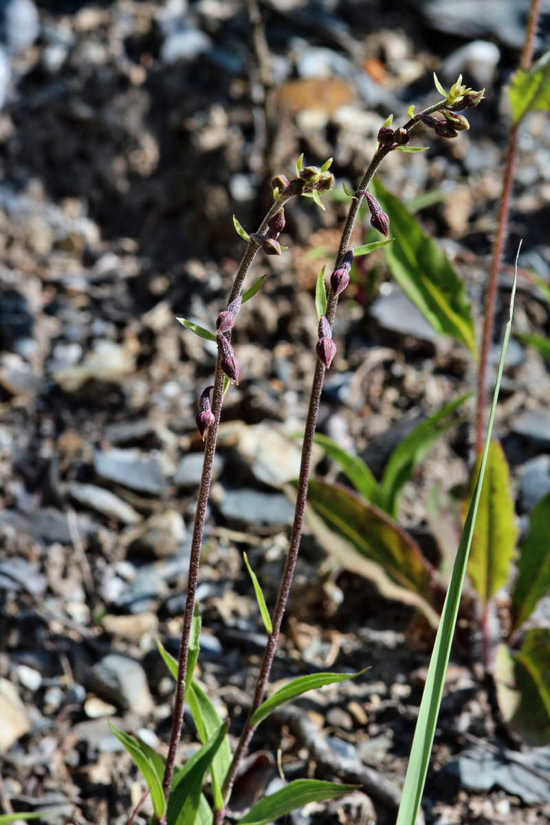 2014_05_26_00043788p_Bildgr��e �ndern