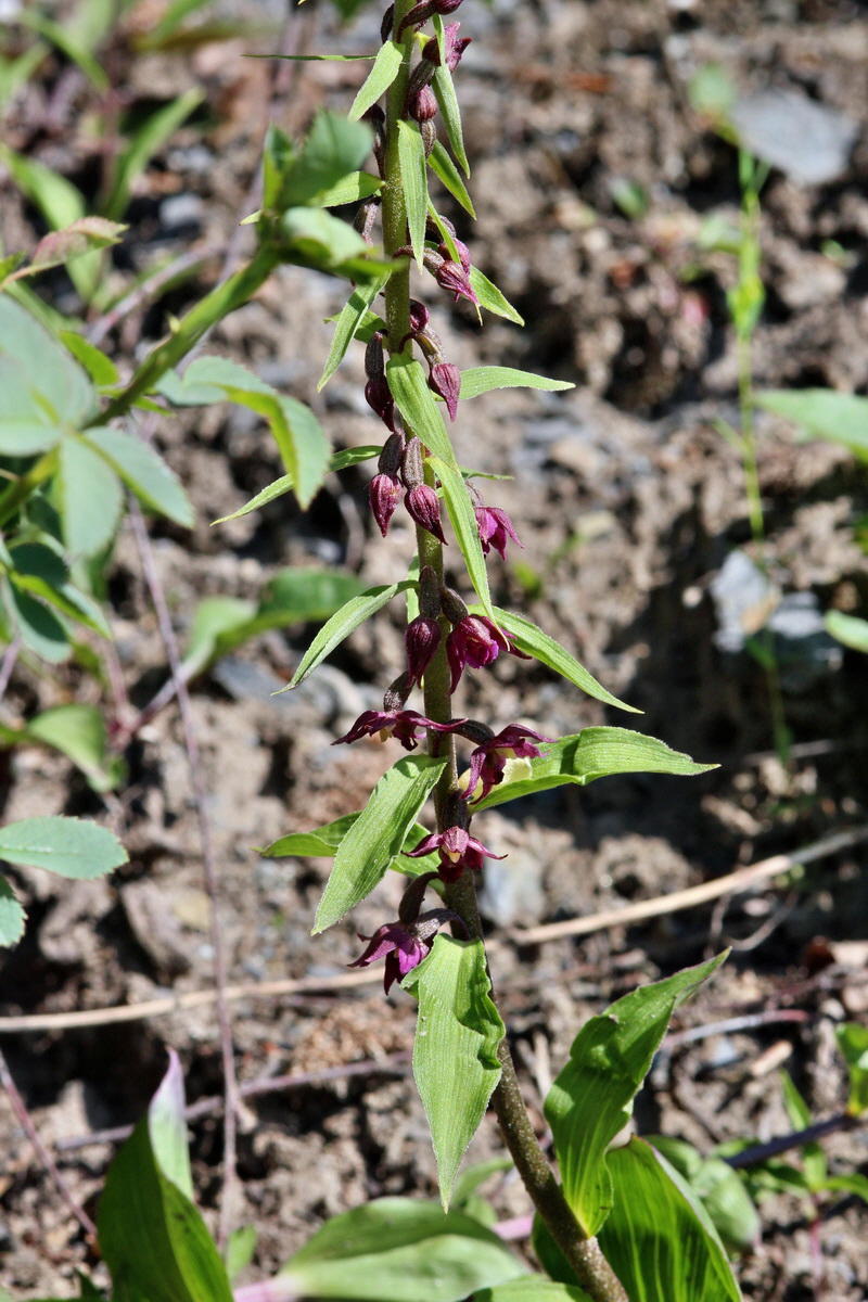 2014_05_26_00043792p_Bildgr��e �ndern