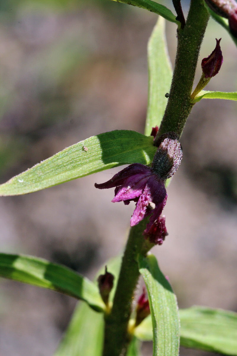 2014_05_26_00043795p_Bildgr��e �ndern