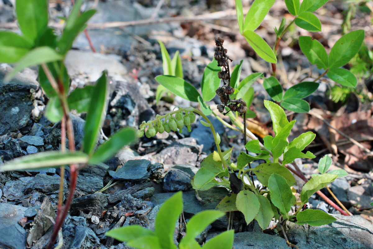 2014_05_26_00043810p_Bildgr��e �ndern