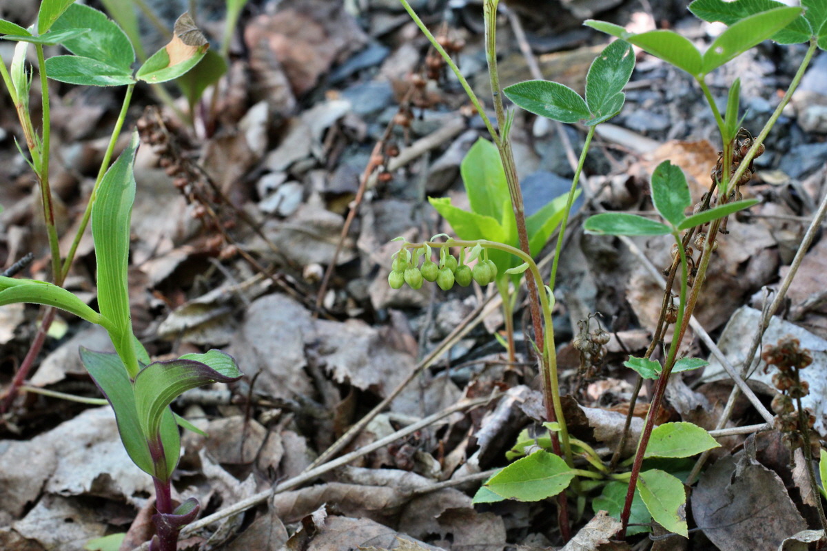 2014_05_26_00043815p_Bildgr��e �ndern