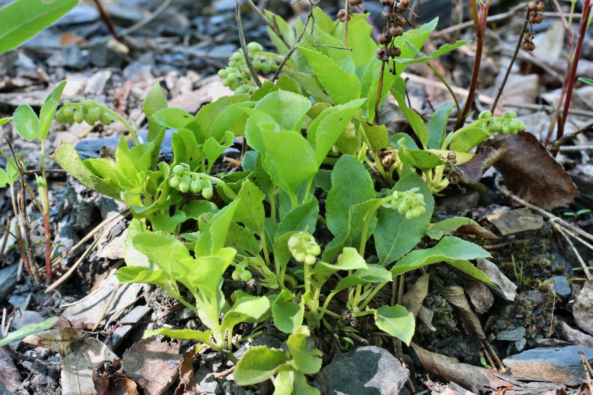 2014_05_26_00043817p_Bildgr��e �ndern