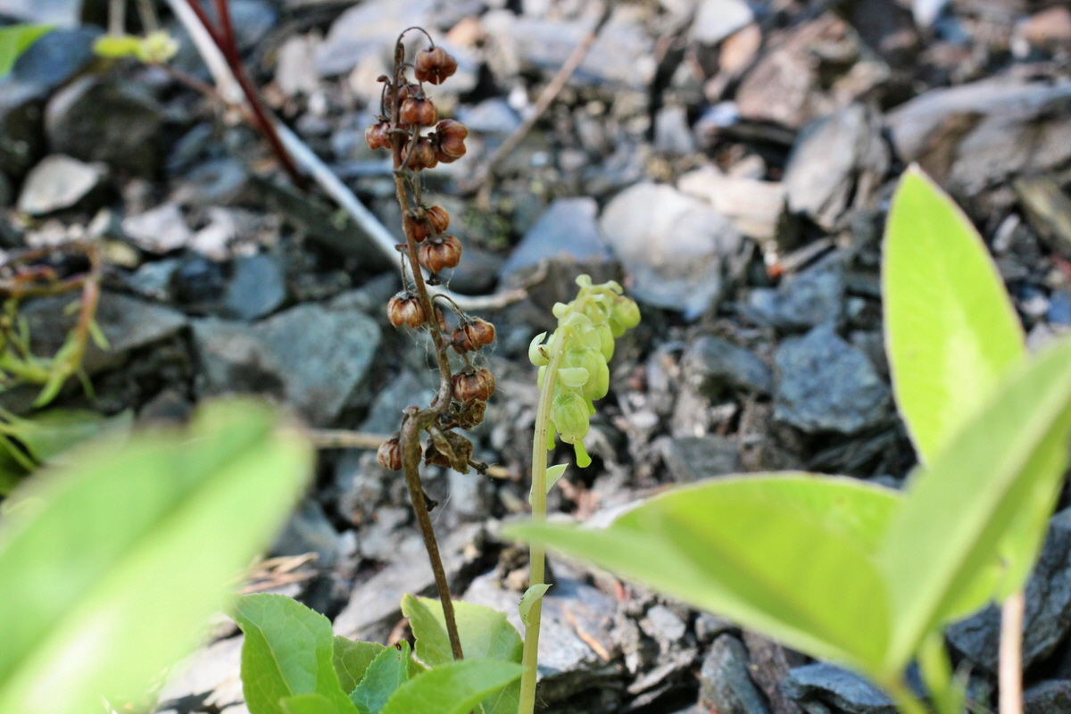 2014_05_26_00043824p_Bildgr��e �ndern