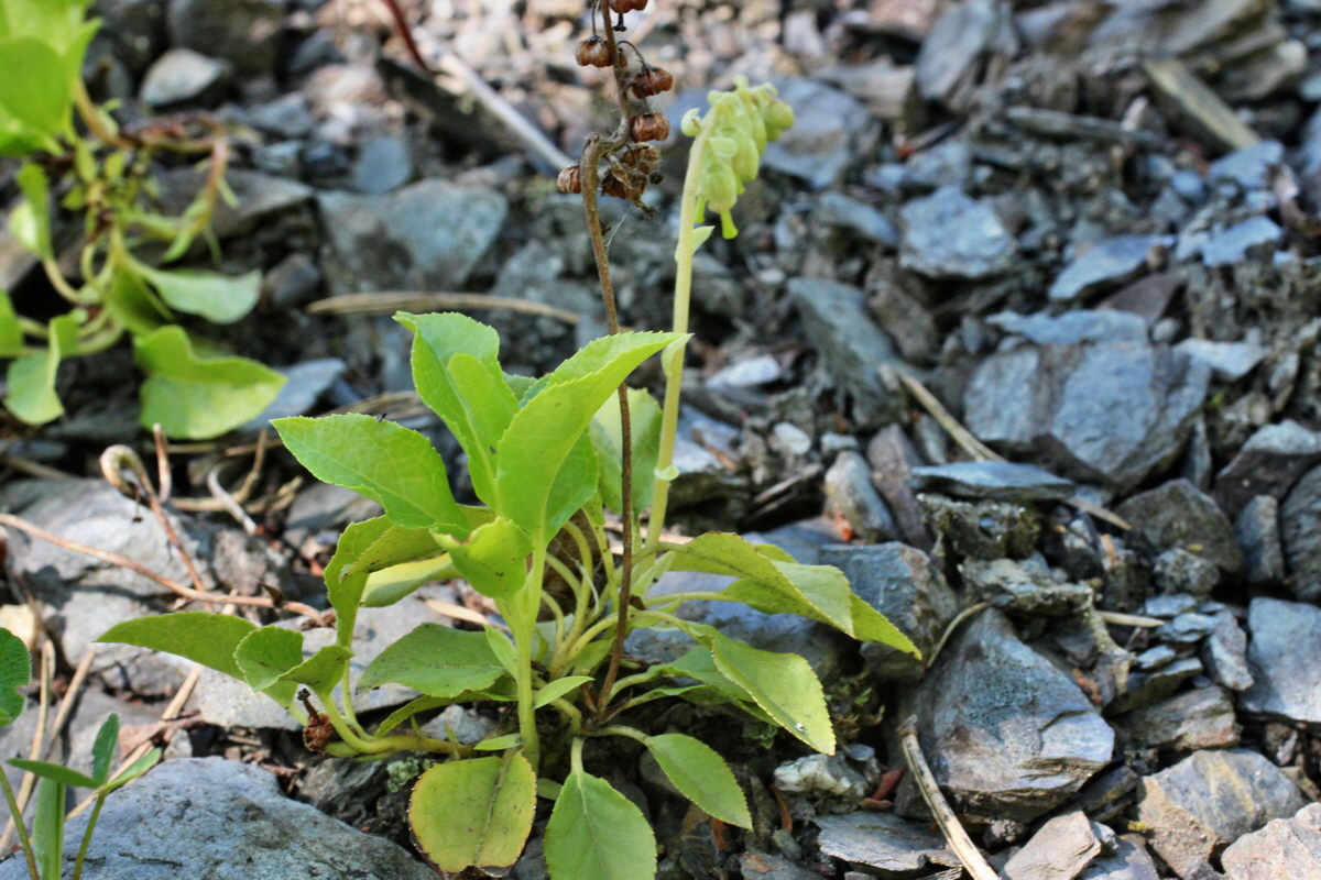 2014_05_26_00043827p_Bildgr��e �ndern