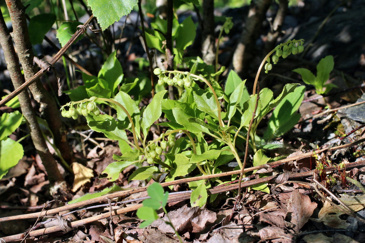 2014_05_26_00043834p_Bildgr��e �ndern