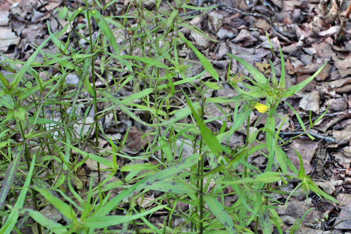 2014_05_26_00043846p_Bildgr��e �ndern