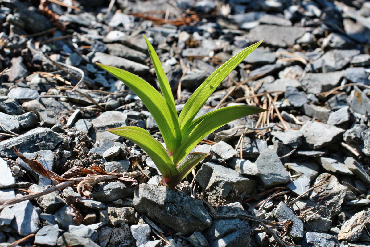 2014_05_26_00043853p_Bildgr��e �ndern