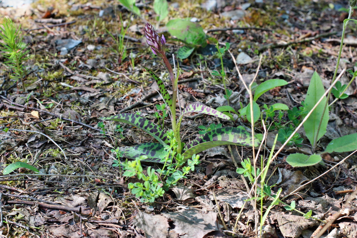 2014_05_26_00043867p_Bildgr��e �ndern