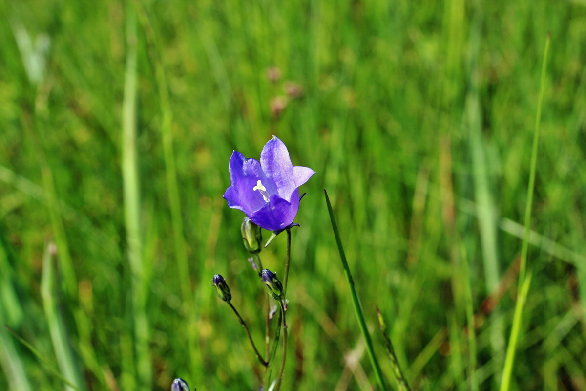 2014_05_26_00043875p_Bildgr��e �ndern