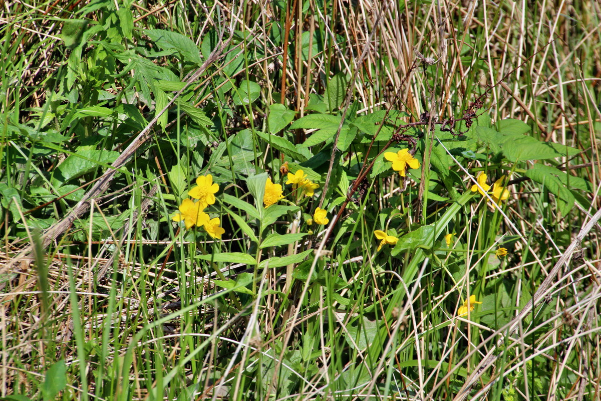 2014_05_26_00043879p_Bildgr��e �ndern