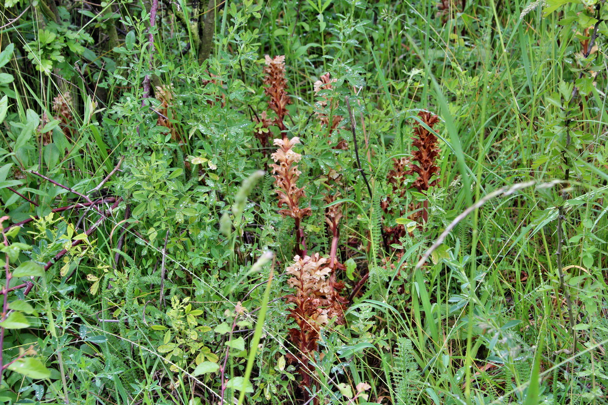 2014_05_29_00043899p_Bildgr��e �ndern