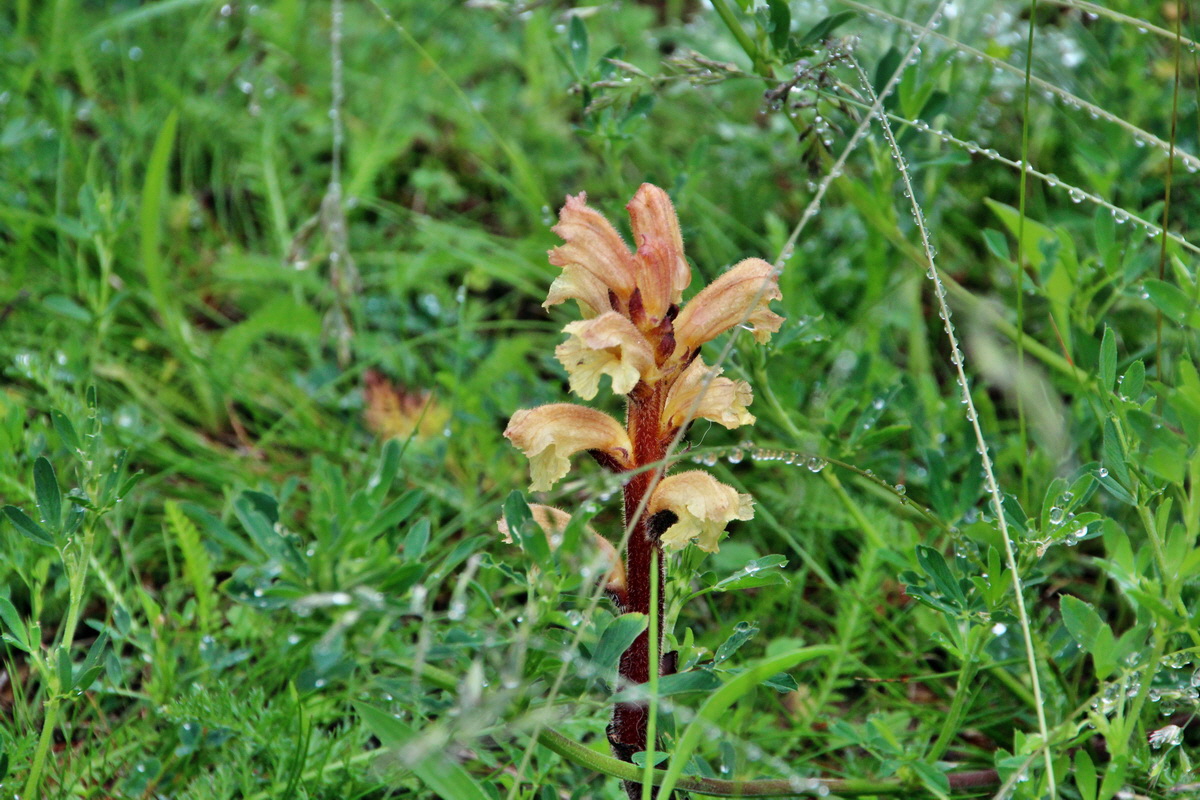 2014_05_29_00043916p_Bildgr��e �ndern