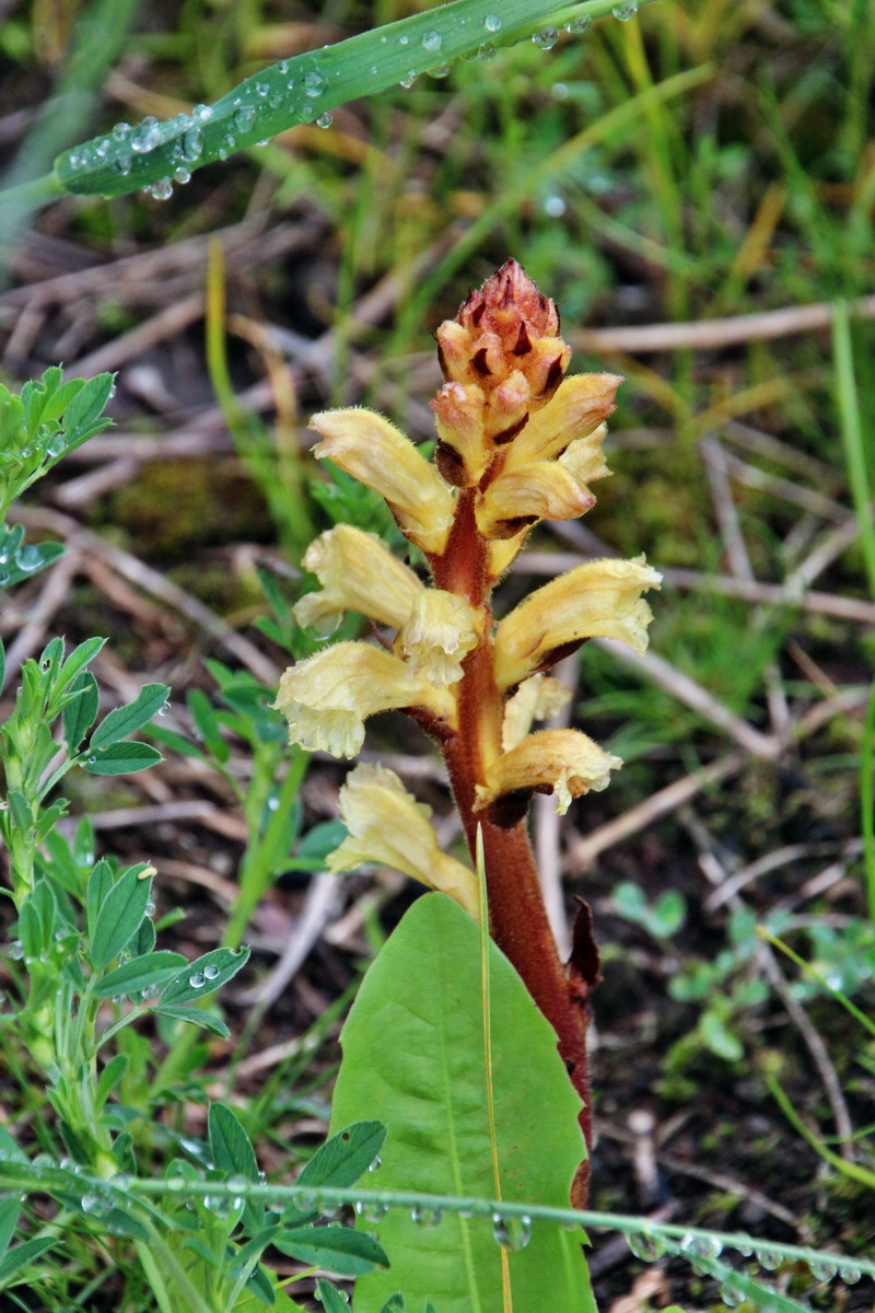 2014_05_29_00043919p_Bildgr��e �ndern