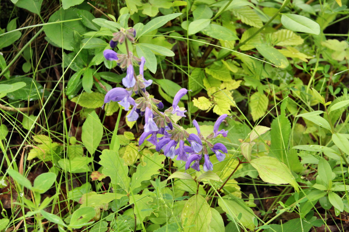 2014_05_29_00043922p_Bildgr��e �ndern