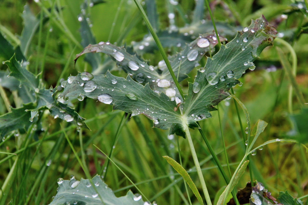 2014_05_29_00043924p_Bildgr��e �ndern