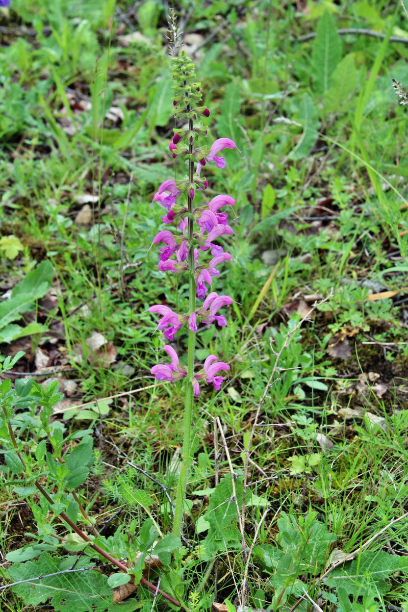 2014_05_29_00043933p_Bildgr��e �ndern