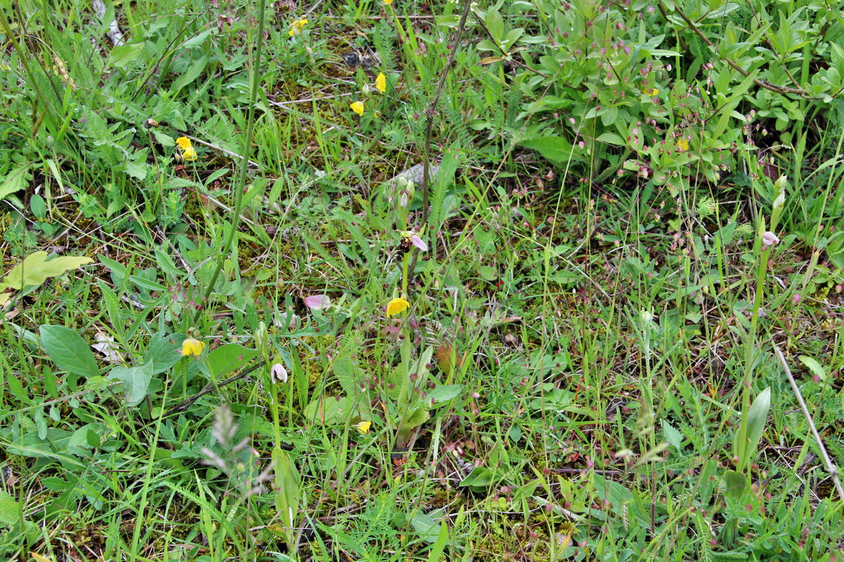 2014_05_29_00043937p_Bildgr��e �ndern