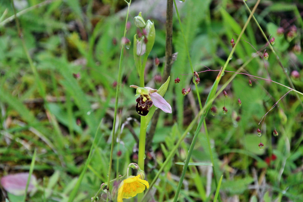 2014_05_29_00043938p_Bildgr��e �ndern