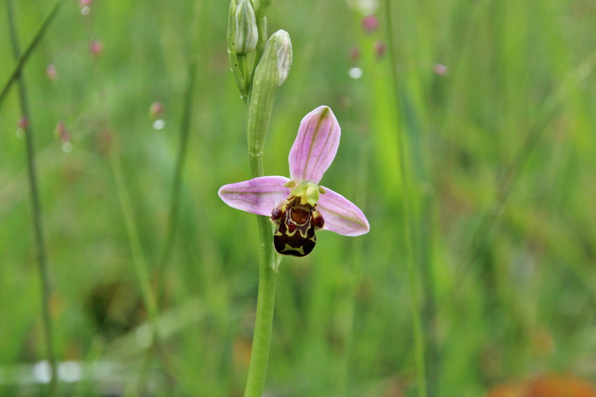 2014_05_29_00043941p_Bildgr��e �ndern