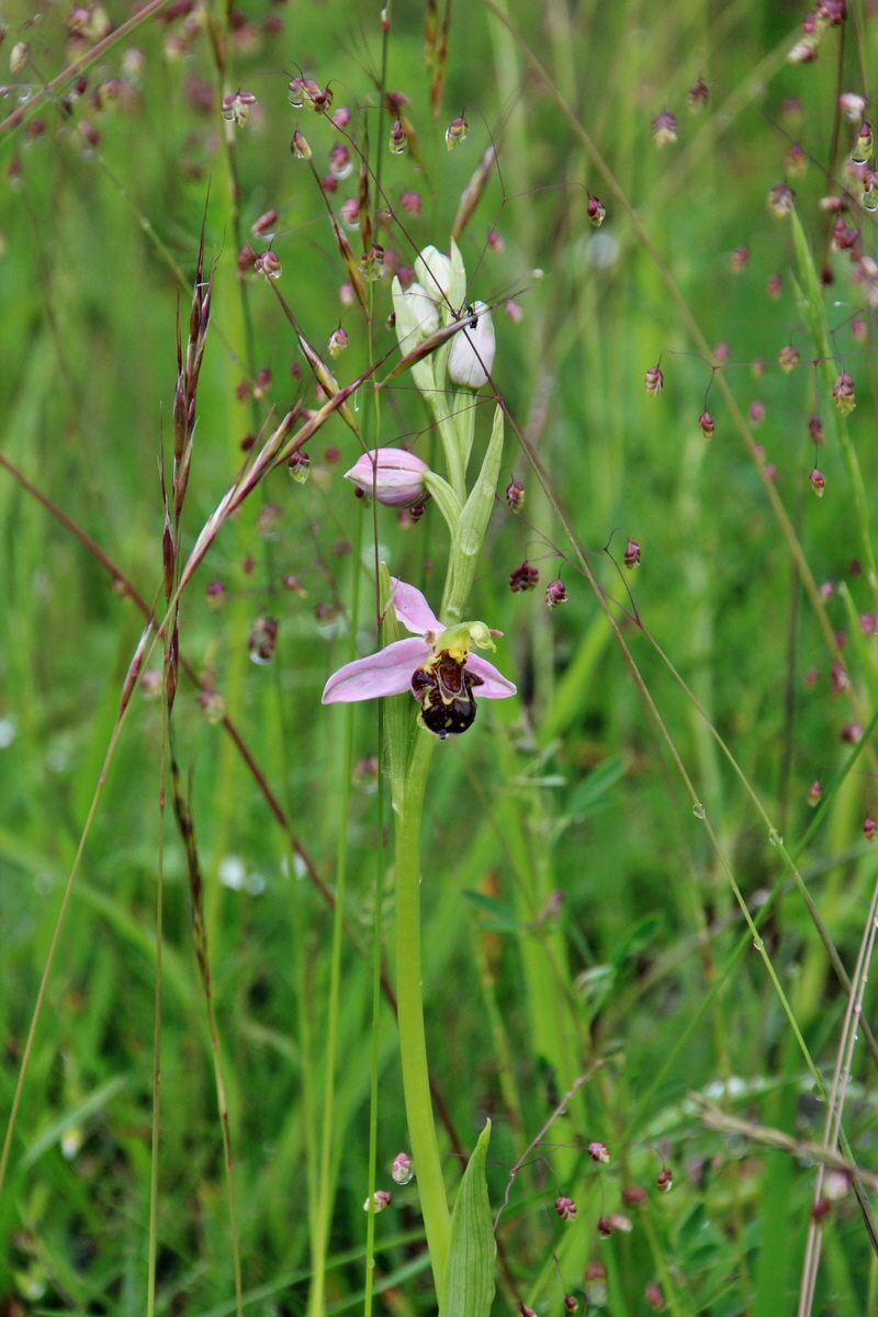 2014_05_29_00043948p_Bildgr��e �ndern