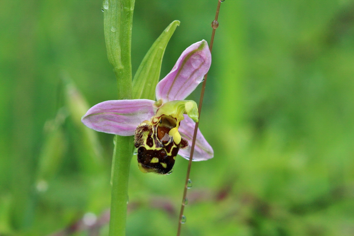 2014_05_29_00043951p_Bildgr��e �ndern