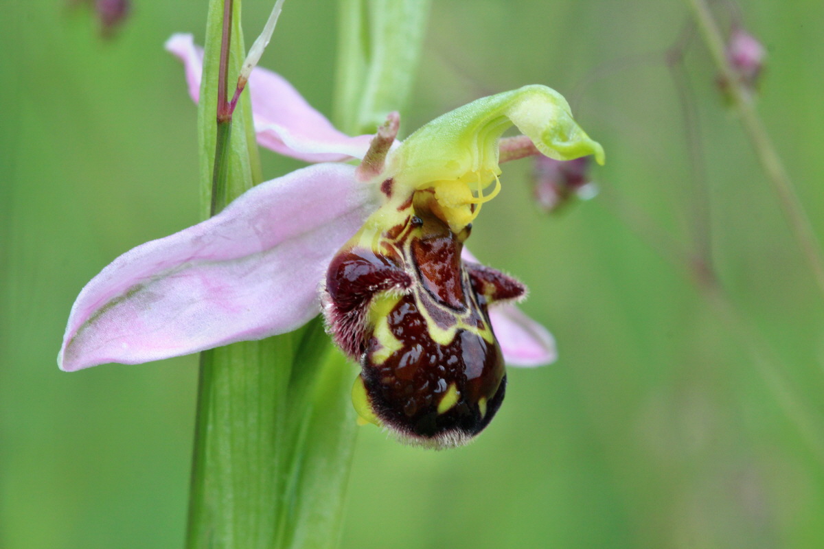 2014_05_29_00043959p_Bildgr��e �ndern