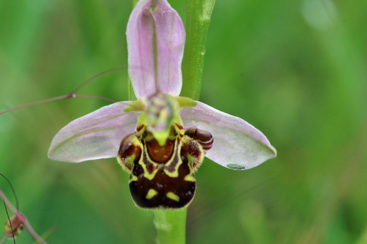 2014_05_29_00043965p_Bildgr��e �ndern