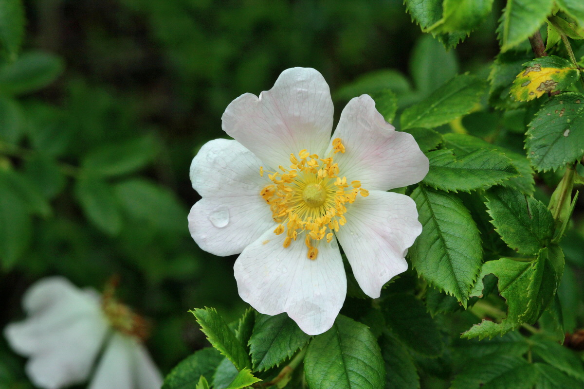 2014_05_29_00043969p_Bildgr��e �ndern