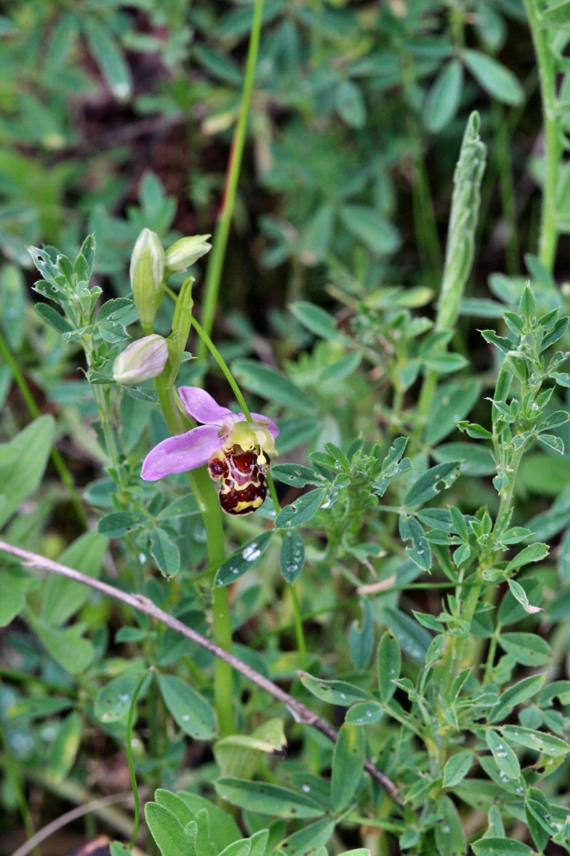 2014_05_29_00043979p_Bildgr��e �ndern