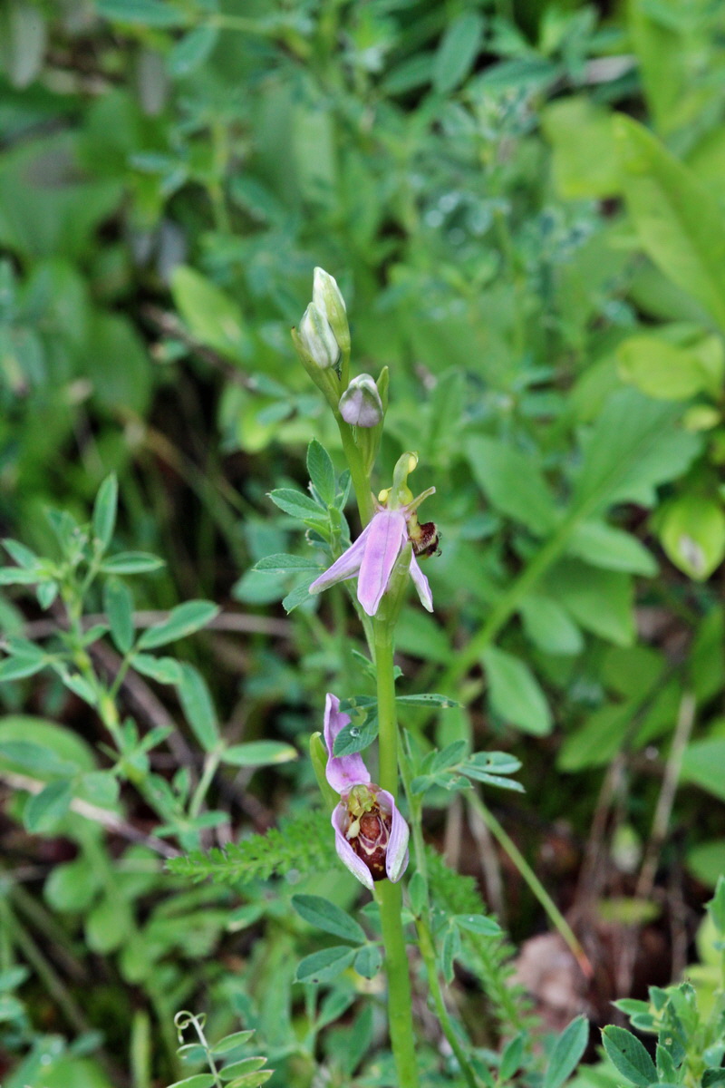 2014_05_29_00043981p_Bildgr��e �ndern