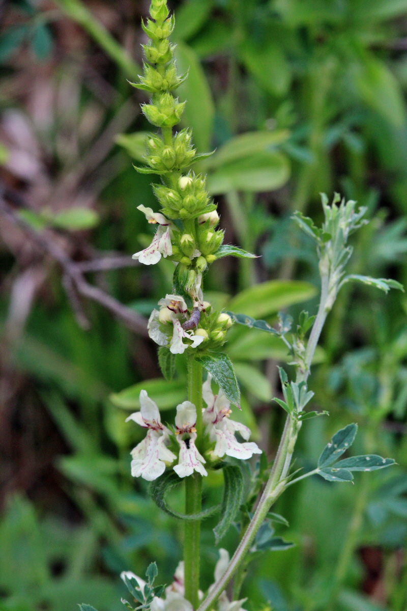 2014_05_29_00043983p_Bildgr��e �ndern