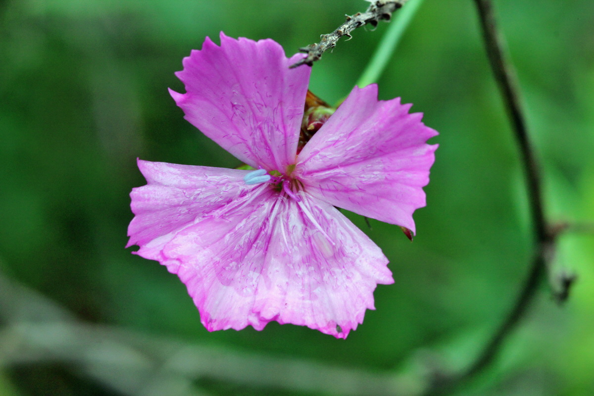 2014_05_29_00043989p_Bildgr��e �ndern