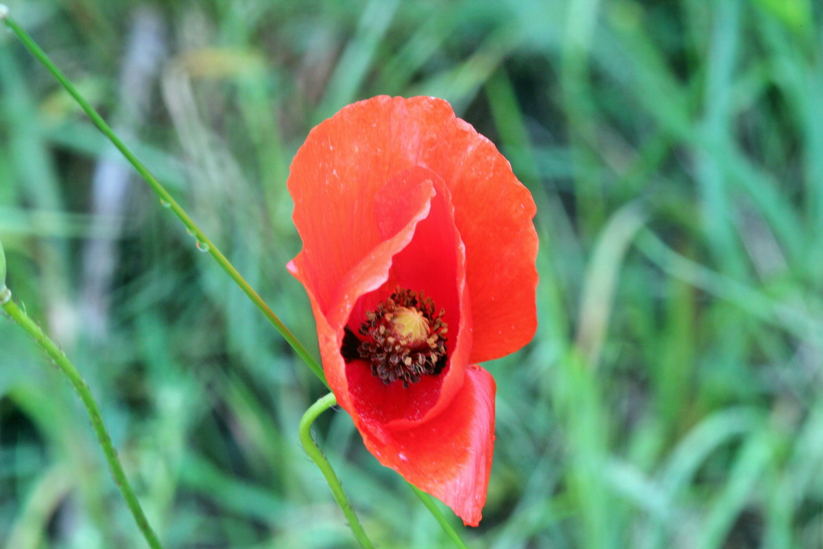 2014_05_29_00043994p_Bildgr��e �ndern