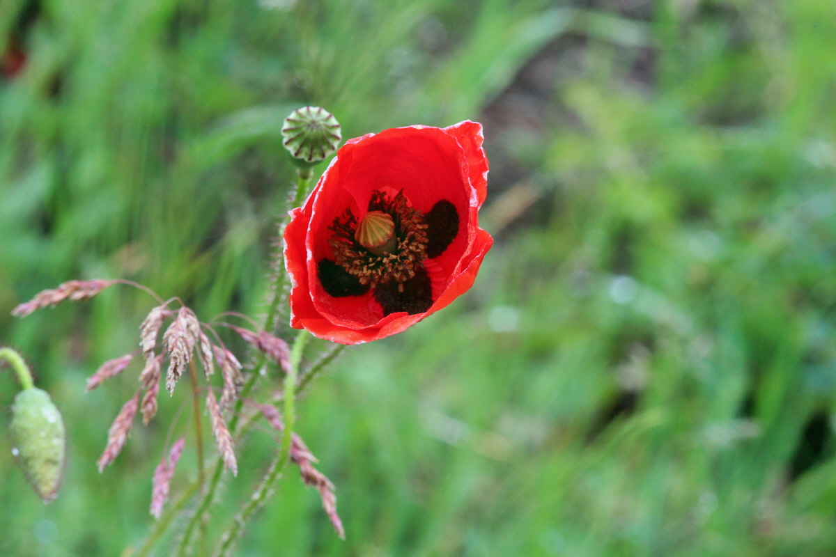 2014_05_29_00044013p_Bildgr��e �ndern