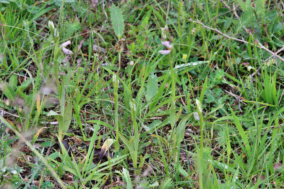 2014_05_29_00044055p_Bildgr��e �ndern