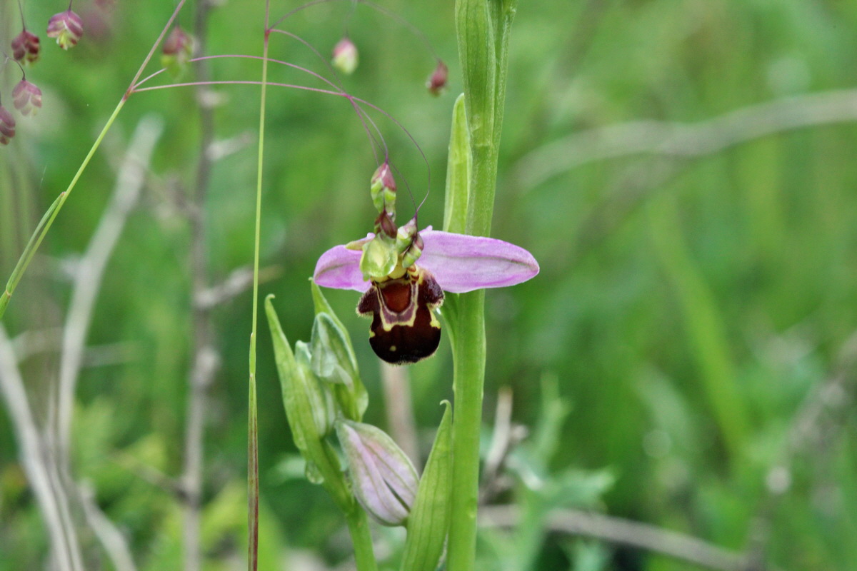 2014_05_29_00044057p_Bildgr��e �ndern