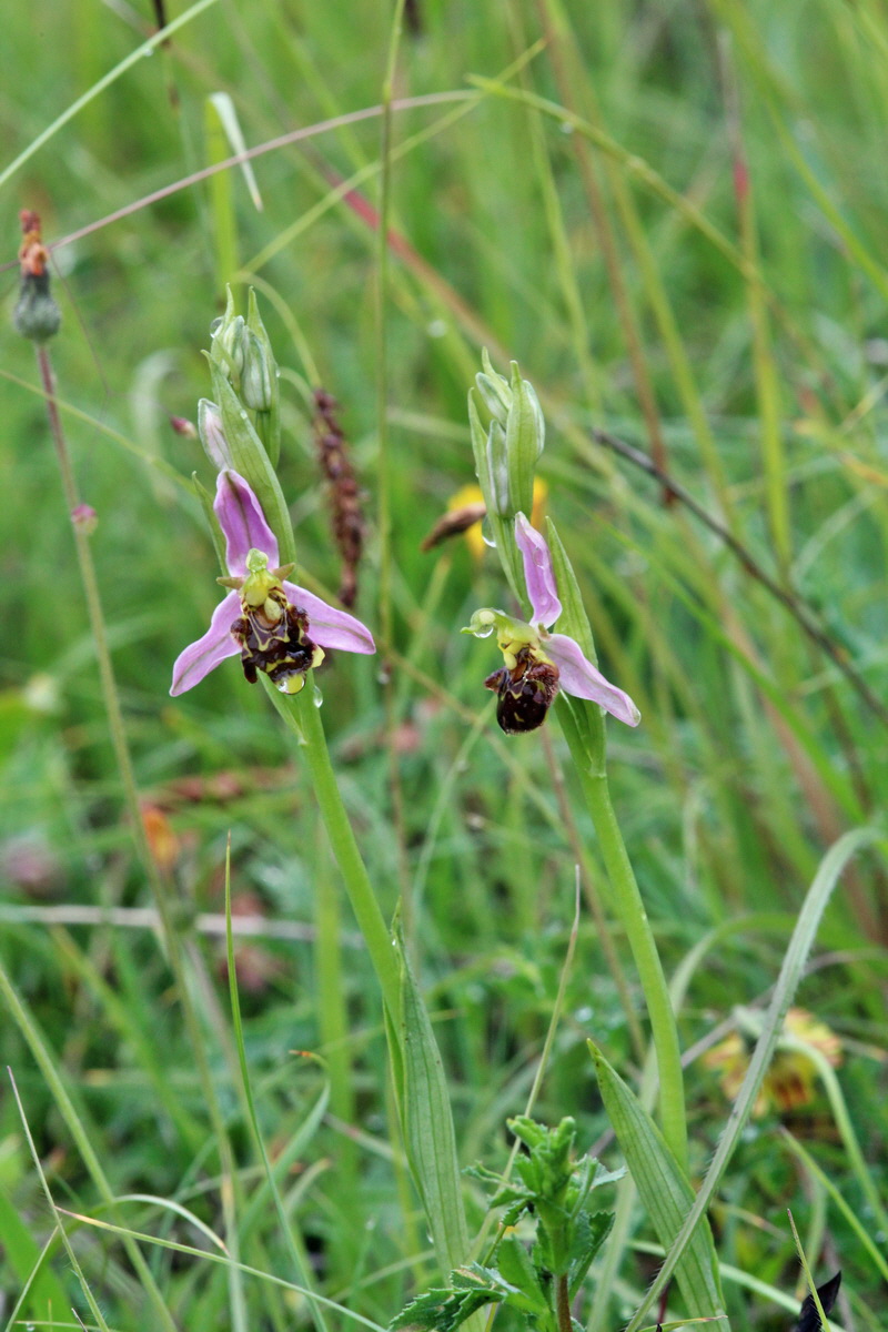 2014_05_29_00044066p_Bildgr��e �ndern