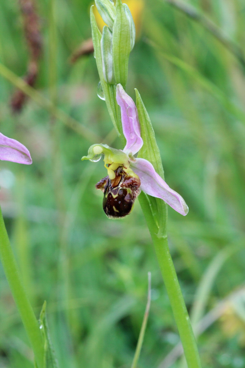 2014_05_29_00044067p_Bildgr��e �ndern