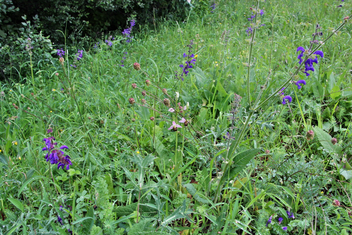 2014_05_29_00044218p_Bildgr��e �ndern