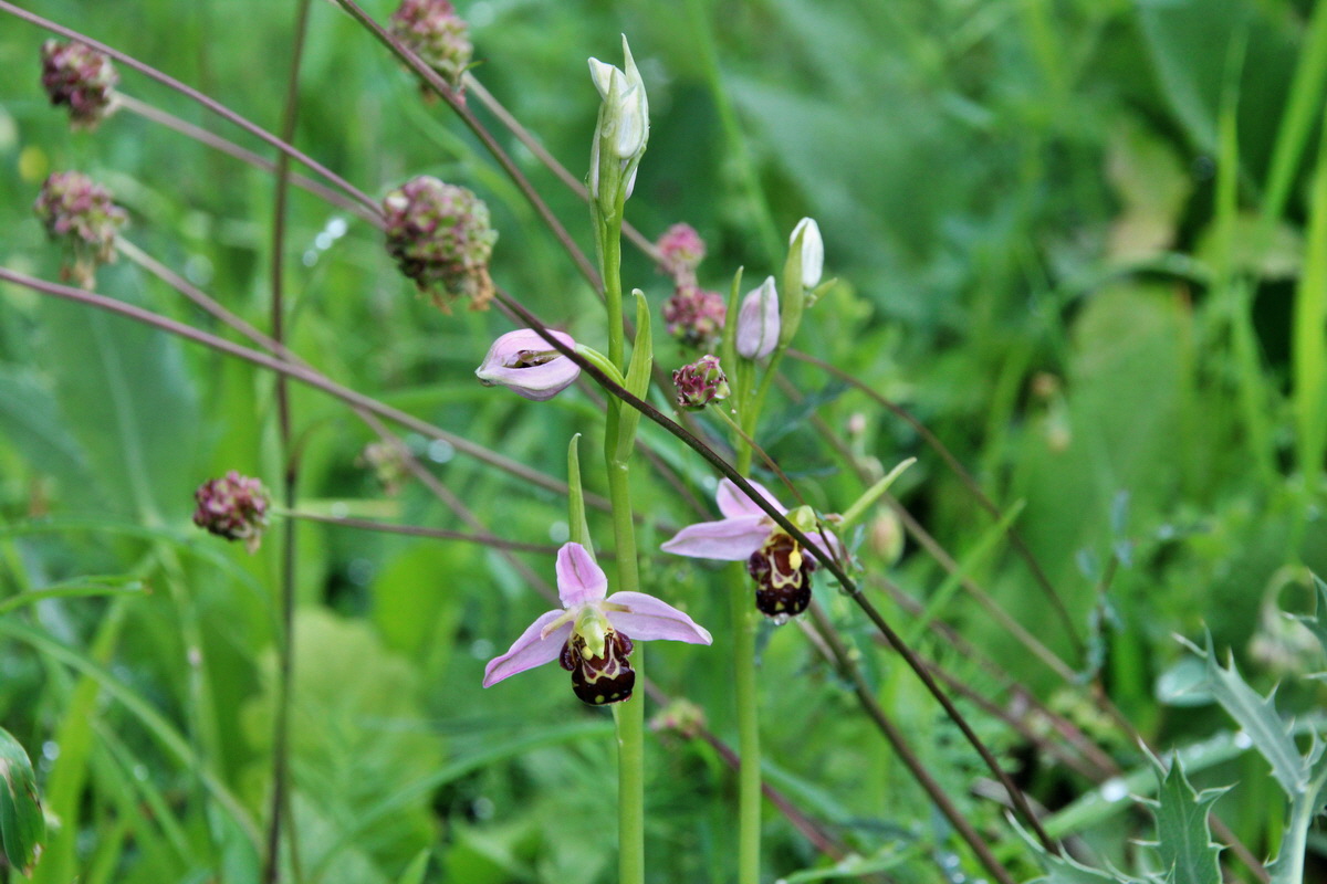 2014_05_29_00044220p_Bildgr��e �ndern