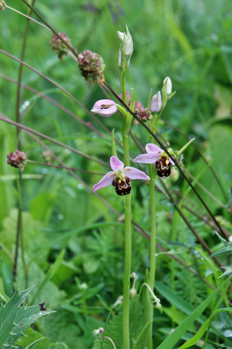 2014_05_29_00044223p_Bildgr��e �ndern