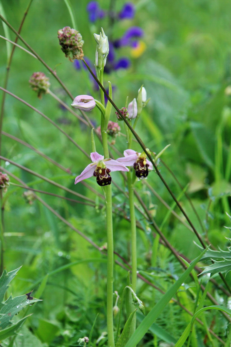 2014_05_29_00044226p_Bildgr��e �ndern