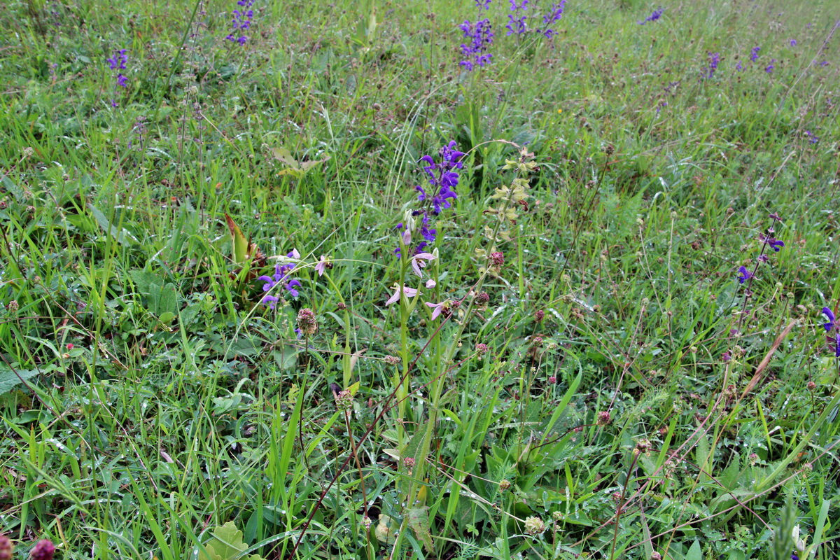 2014_05_29_00044233p_Bildgr��e �ndern