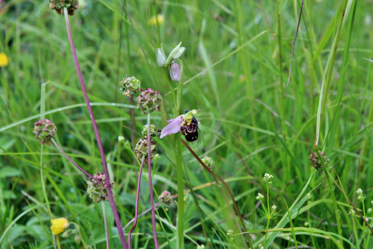 2014_05_29_00044235p_Bildgr��e �ndern