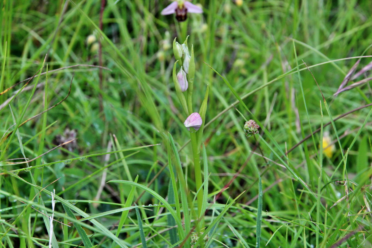 2014_05_29_00044239p_Bildgr��e �ndern