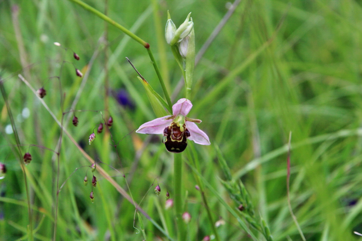 2014_05_29_00044244p_Bildgr��e �ndern