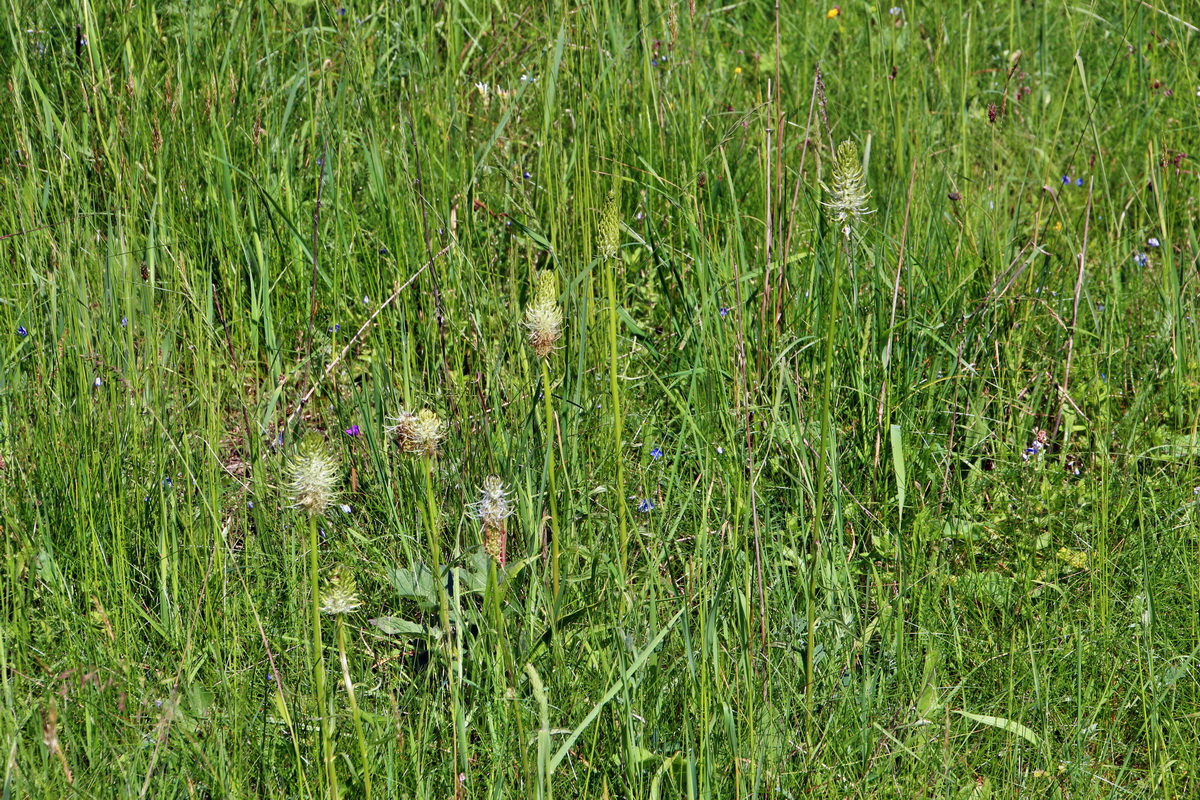 2014_05_30_00044261p_Bildgr��e �ndern