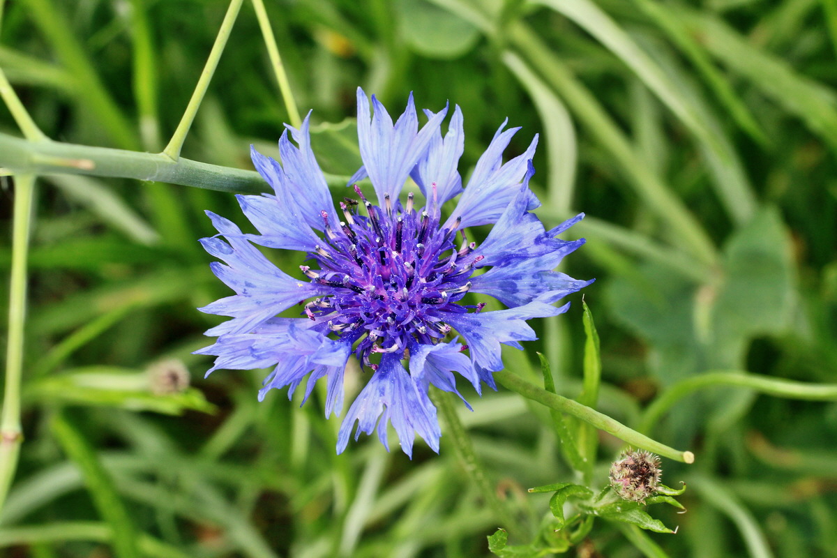 2014_05_30_00044266p_Bildgr��e �ndern