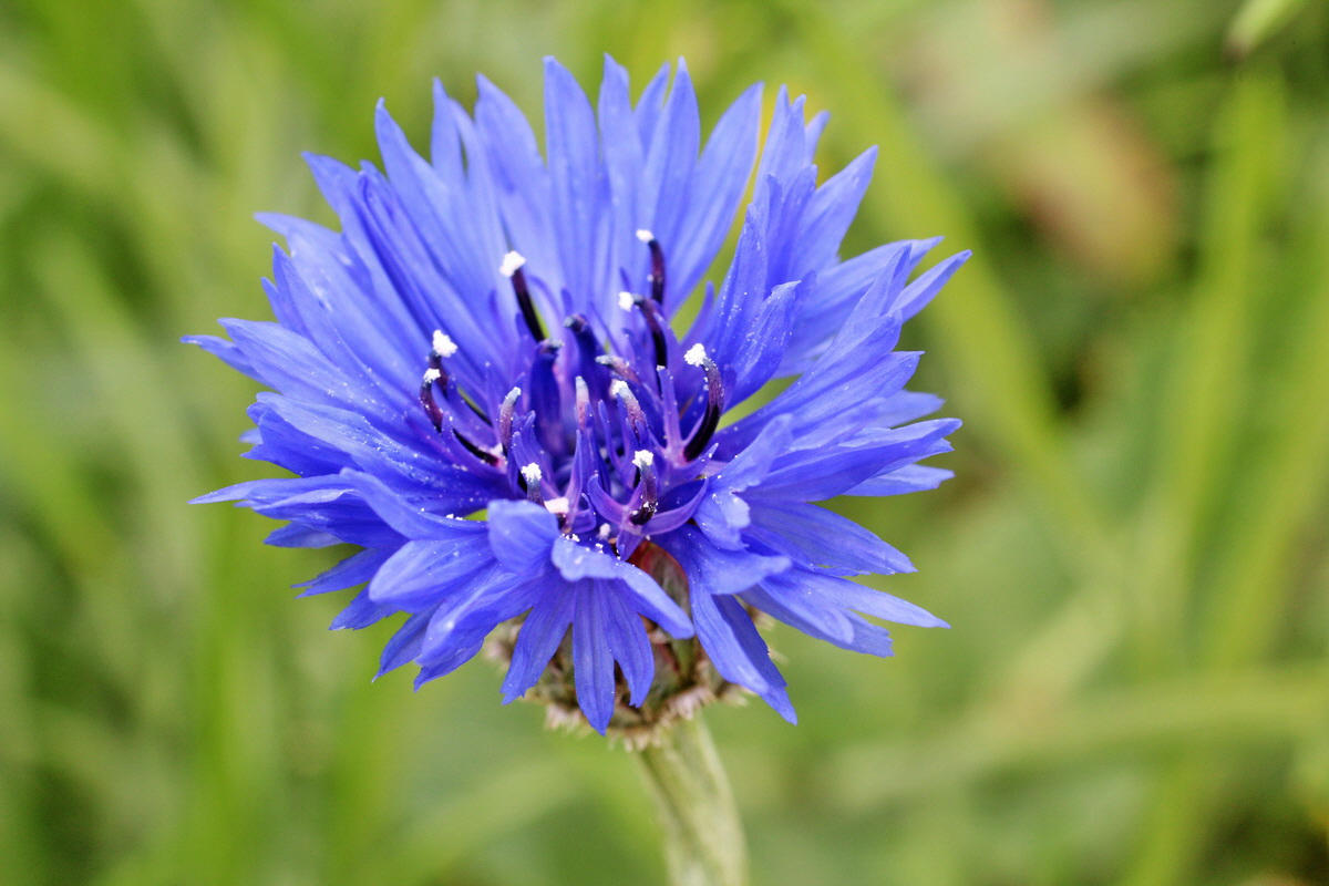 2014_05_30_00044271p_Bildgr��e �ndern