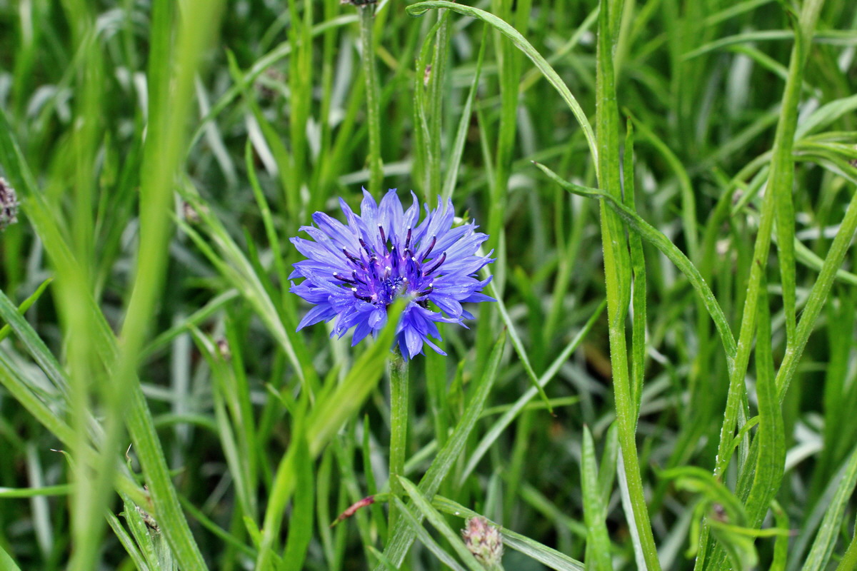 2014_05_30_00044280p_Bildgr��e �ndern